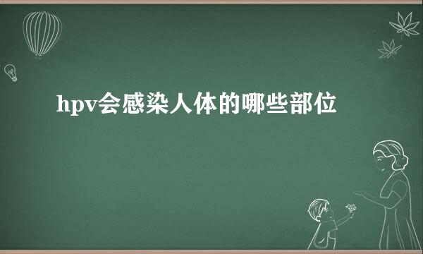 hpv会感染人体的哪些部位