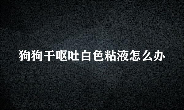 狗狗干呕吐白色粘液怎么办