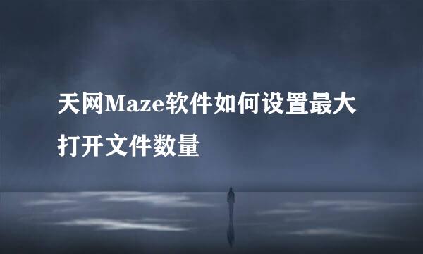 天网Maze软件如何设置最大打开文件数量