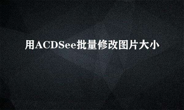 用ACDSee批量修改图片大小