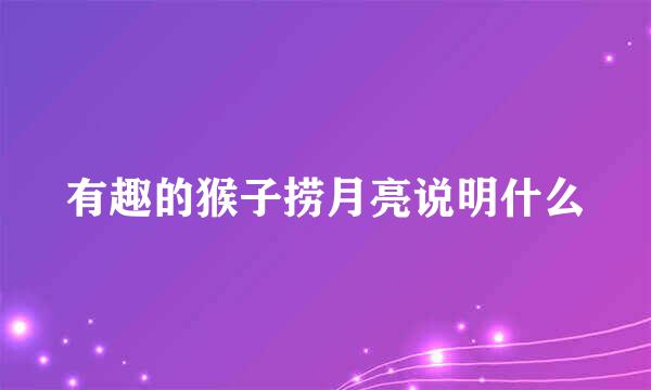 有趣的猴子捞月亮说明什么