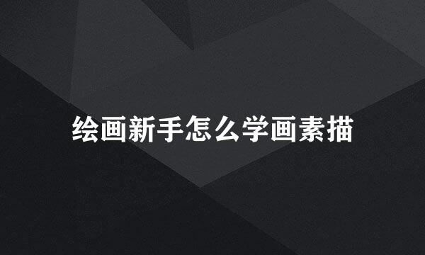 绘画新手怎么学画素描