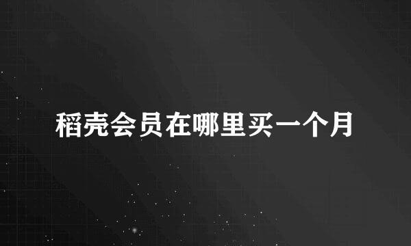 稻壳会员在哪里买一个月