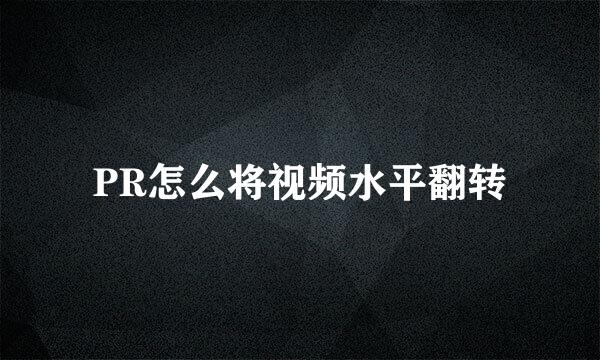 PR怎么将视频水平翻转