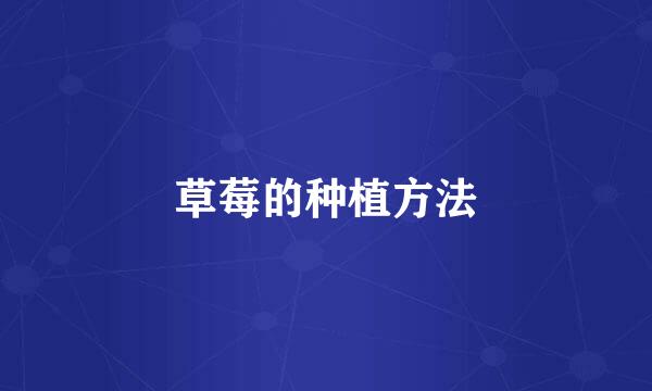 草莓的种植方法