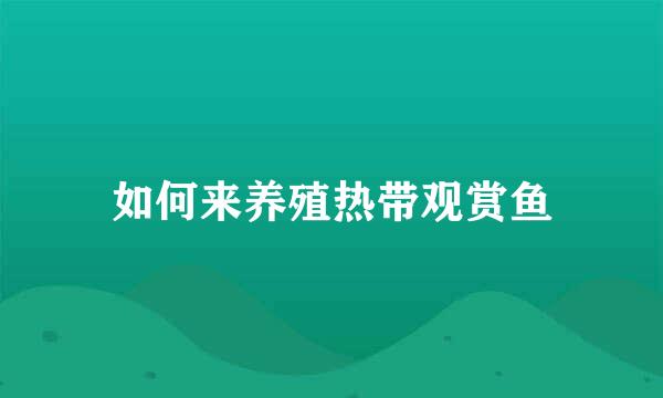 如何来养殖热带观赏鱼