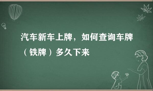 汽车新车上牌，如何查询车牌（铁牌）多久下来