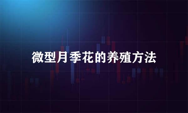 微型月季花的养殖方法