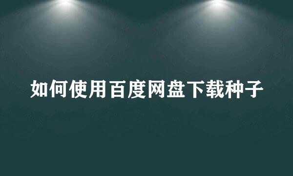 如何使用百度网盘下载种子