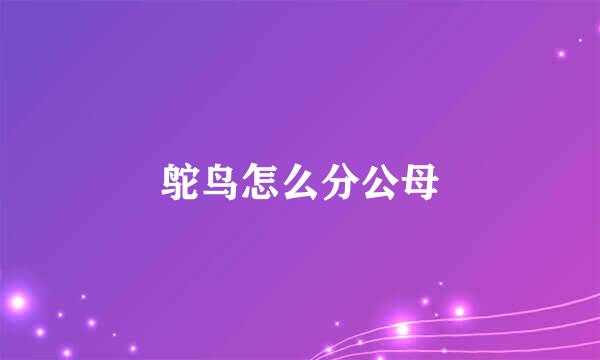 鸵鸟怎么分公母