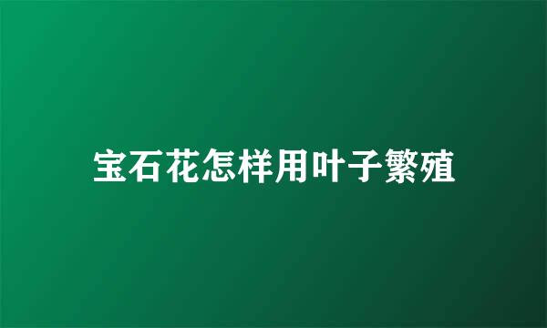 宝石花怎样用叶子繁殖