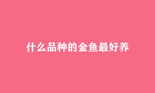 什么品种的金鱼最好养
