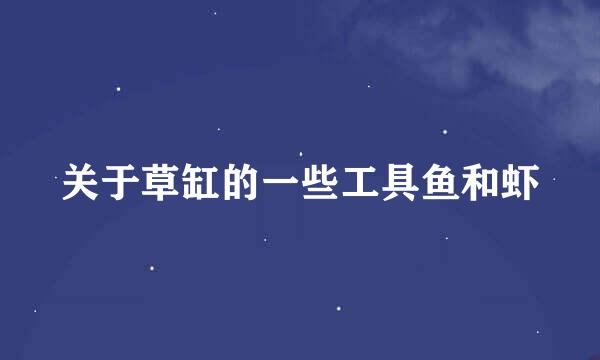 关于草缸的一些工具鱼和虾