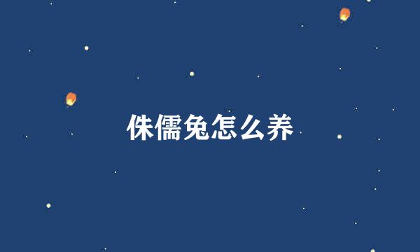 侏儒兔怎么养