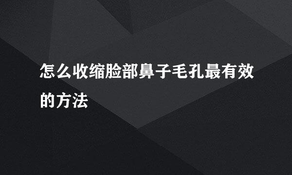 怎么收缩脸部鼻子毛孔最有效的方法