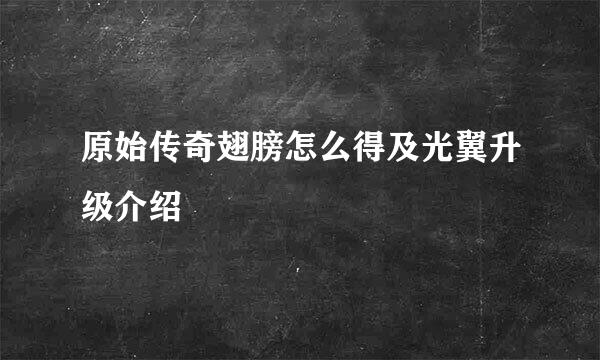 原始传奇翅膀怎么得及光翼升级介绍