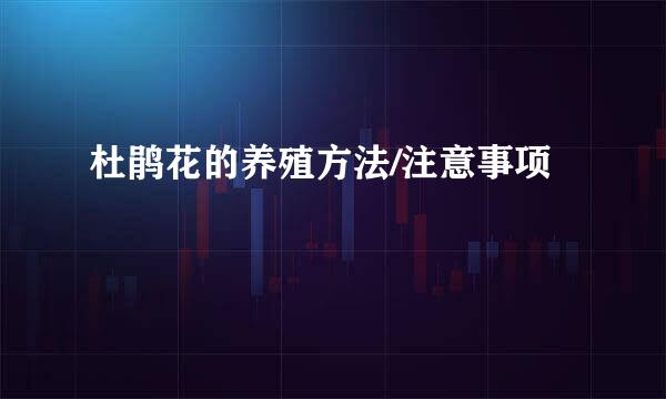 杜鹃花的养殖方法/注意事项
