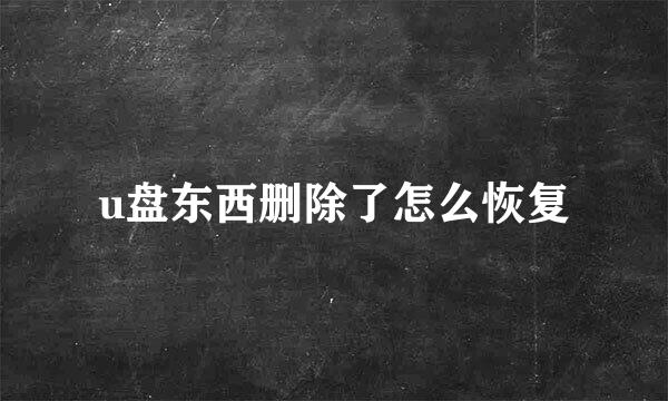 u盘东西删除了怎么恢复