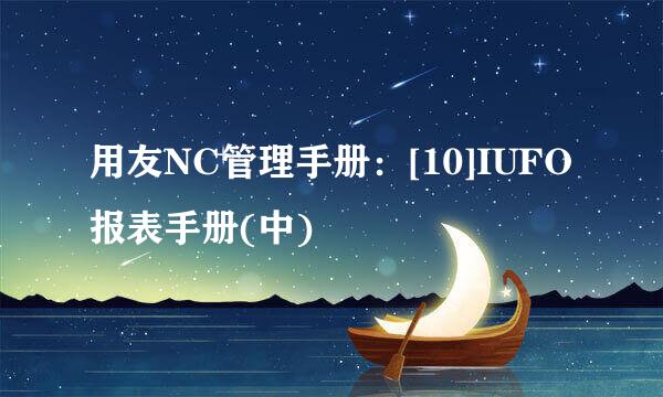 用友NC管理手册：[10]IUFO报表手册(中)