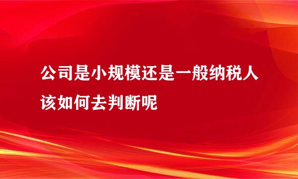 公司是小规模还是一般纳税人该如何去判断呢