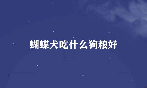蝴蝶犬吃什么狗粮好