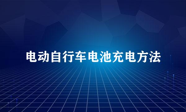 电动自行车电池充电方法