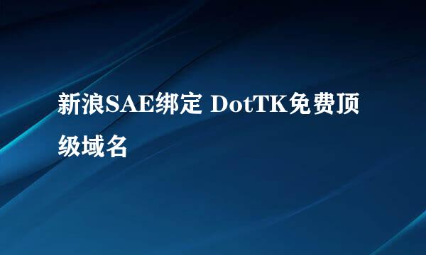新浪SAE绑定 DotTK免费顶级域名