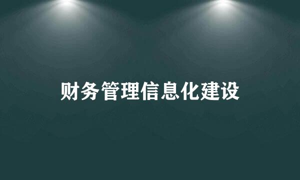 财务管理信息化建设