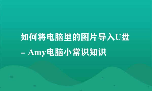 如何将电脑里的图片导入U盘- Amy电脑小常识知识