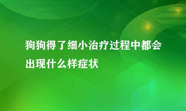 狗狗得了细小治疗过程中都会出现什么样症状