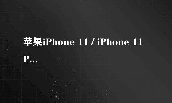 苹果iPhone 11 / iPhone 11 Pro怎么强制重启