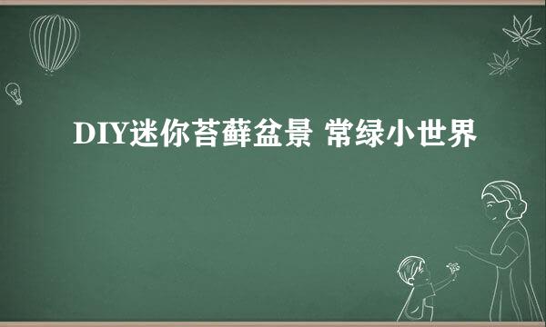 DIY迷你苔藓盆景 常绿小世界