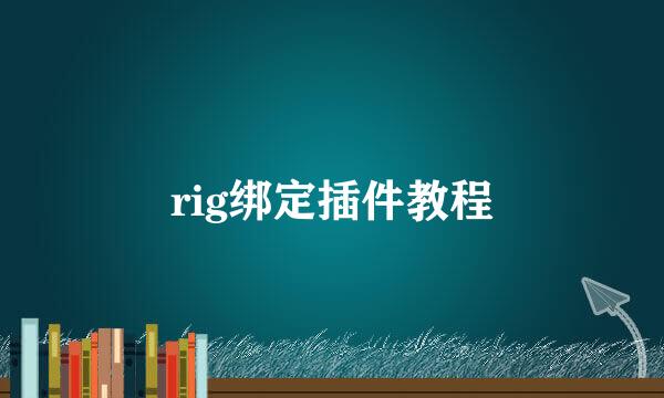rig绑定插件教程