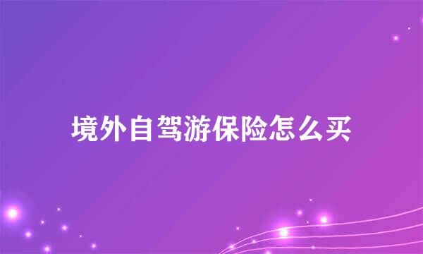 境外自驾游保险怎么买