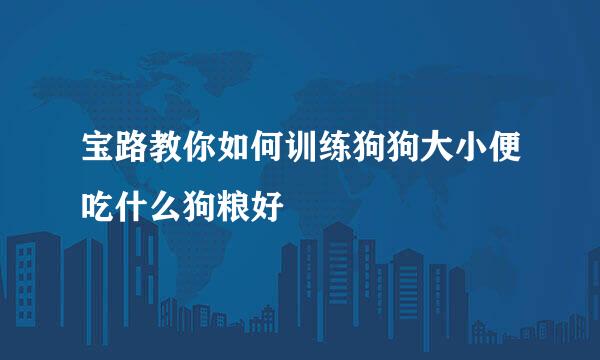 宝路教你如何训练狗狗大小便吃什么狗粮好