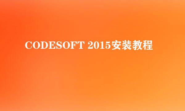 CODESOFT 2015安装教程