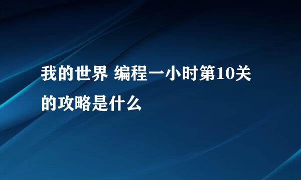 我的世界 编程一小时第10关的攻略是什么