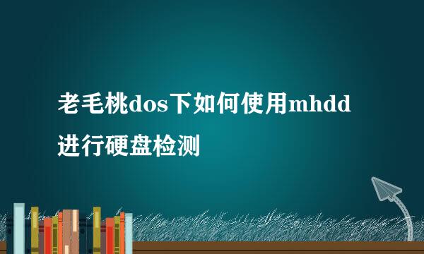 老毛桃dos下如何使用mhdd进行硬盘检测
