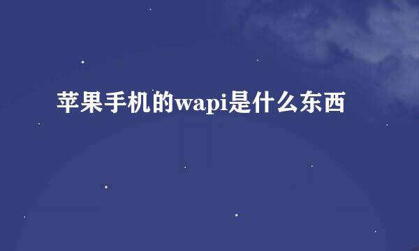 苹果手机的wapi是什么东西