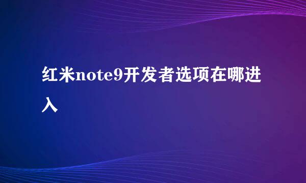 红米note9开发者选项在哪进入