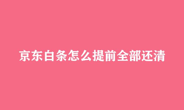 京东白条怎么提前全部还清