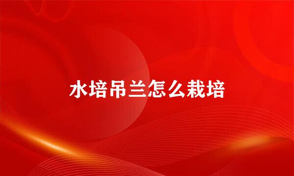 水培吊兰怎么栽培