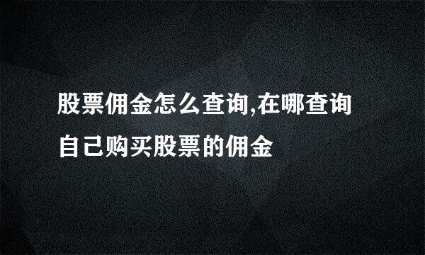 股票佣金怎么查询,在哪查询自己购买股票的佣金
