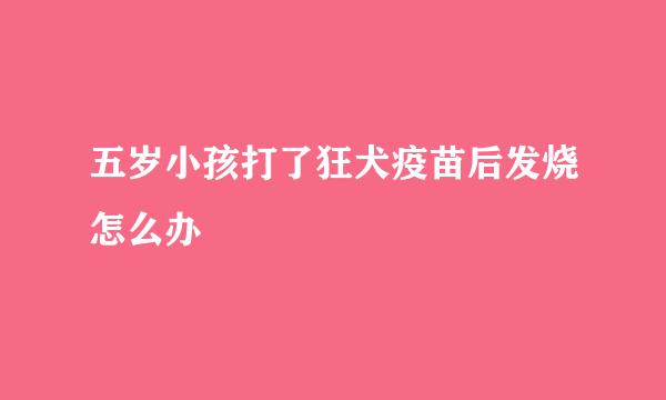 五岁小孩打了狂犬疫苗后发烧怎么办
