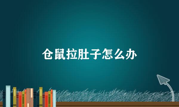 仓鼠拉肚子怎么办