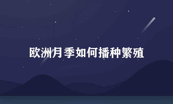 欧洲月季如何播种繁殖