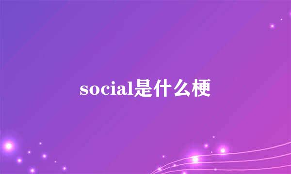 social是什么梗