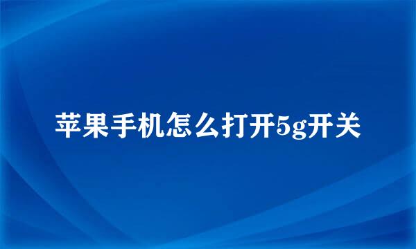 苹果手机怎么打开5g开关