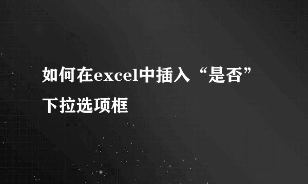 如何在excel中插入“是否”下拉选项框