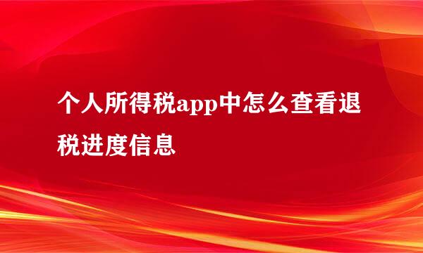 个人所得税app中怎么查看退税进度信息